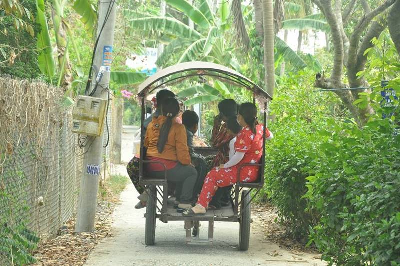 Đến Vườn trái cây Bến Tre Bảo Thạch tận hưởng kỳ nghỉ cuối tuần 8