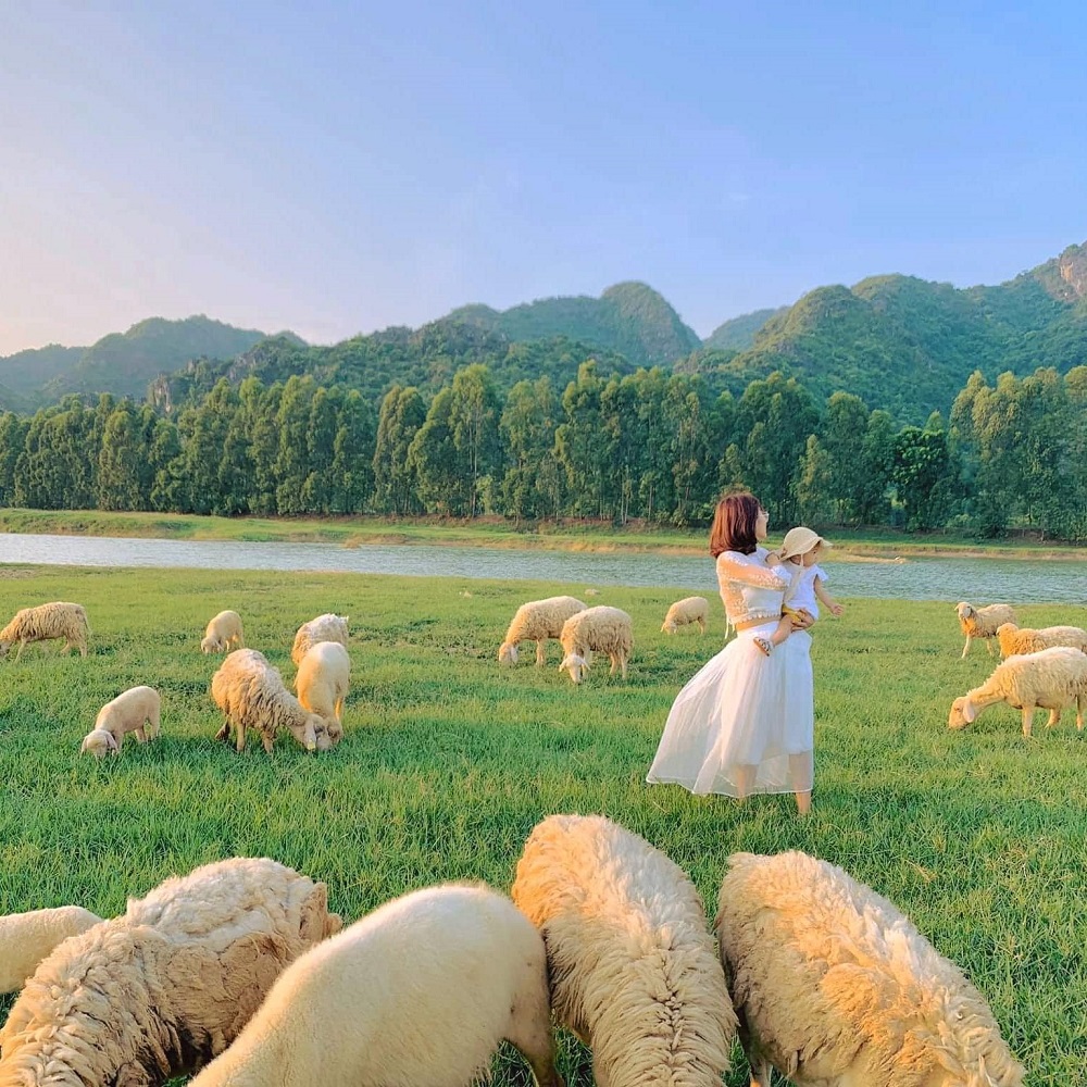 Đồng Cừu Suối Tiên - Thiên đường sống ảo dành cho giới trẻ