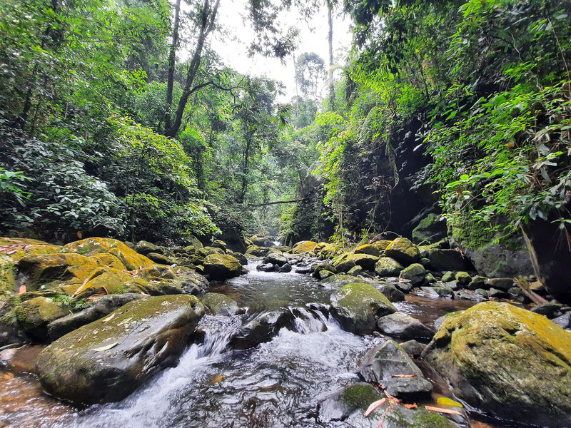 Chinh phục suối Cửa Tử và hành trình trekking thú vị 10