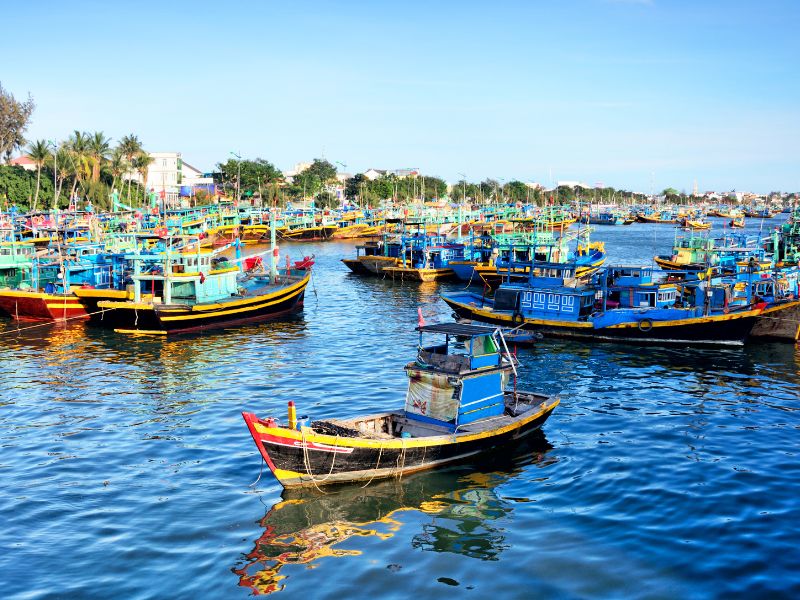 Du lịch Bình Thuận: Khám phá vẻ đẹp tiềm ẩn của miền biển xanh 13
