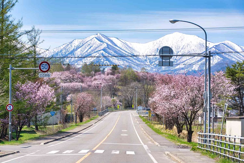 Du lịch Hokkaido khám phá vẻ đẹp miền Bắc tuyết trắng 17