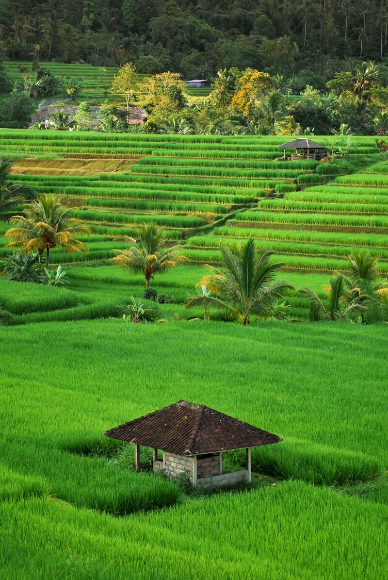 Kinh nghiệm du lịch Indonesia giúp bạn chinh phục xứ sở vạn đảo 4
