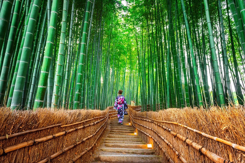 Du lịch Kyoto, khám phá cố đô đậm truyền thống lịch sử 4