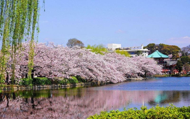 Du lịch Nhật Bản tự túc và những địa điểm không thể bỏ qua 9