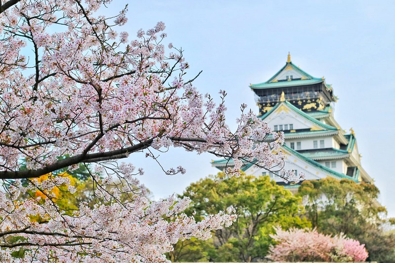 Du lịch Osaka tự túc nên đi khám phá những địa danh nào? 13