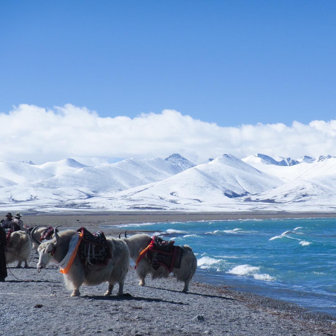 Hành trình du lịch Tây Tạng, khám phá vùng đất linh thiêng huyền bí 11