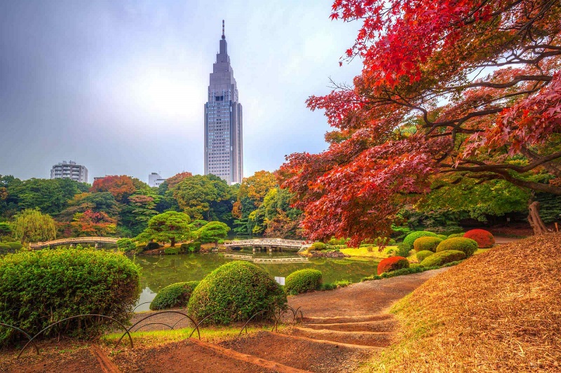Du lịch Tokyo đừng lạc lối trước vô vàn trải nghiệm mãn nhãn 17