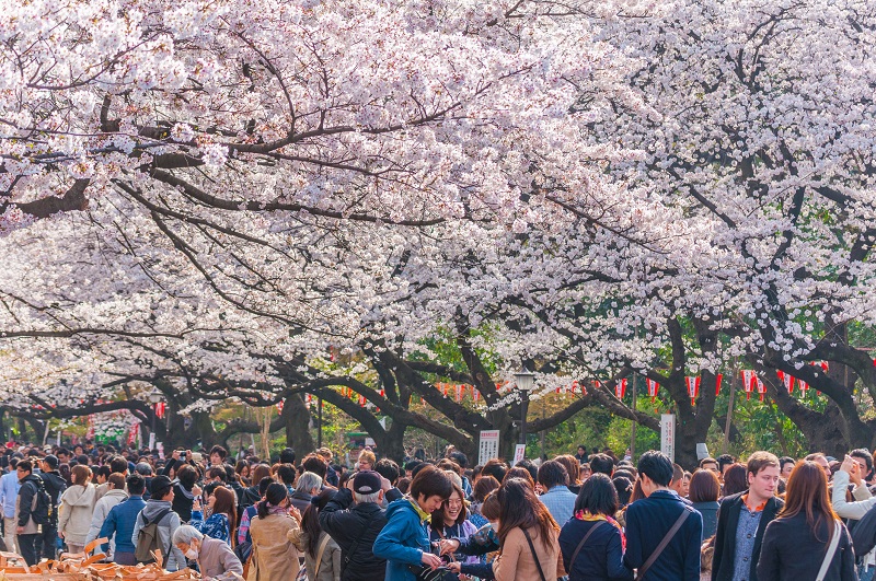 Du lịch Tokyo đừng lạc lối trước vô vàn trải nghiệm mãn nhãn 7