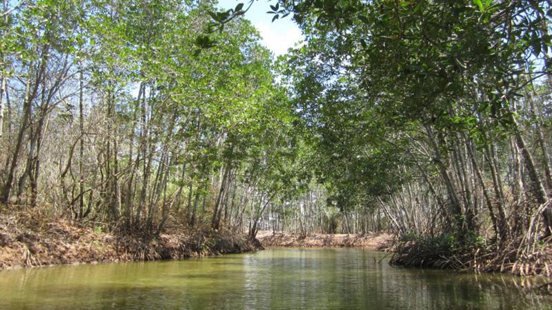 14 địa điểm du lịch Trà Vinh mang đậm nét văn hóa Khmer Nam Bộ 8