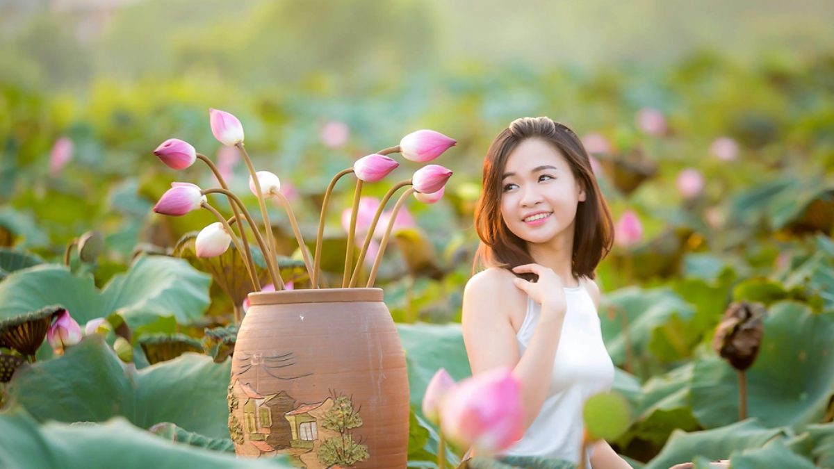 Đừng bỏ lỡ top 5 địa điểm chụp sen quanh Hà Nội đẹp nức tiếng
