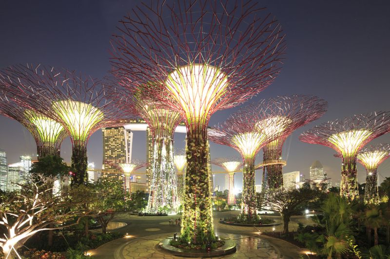 Gardens by the Bay, vườn nhân tạo quy mô khủng tại Singapore 7