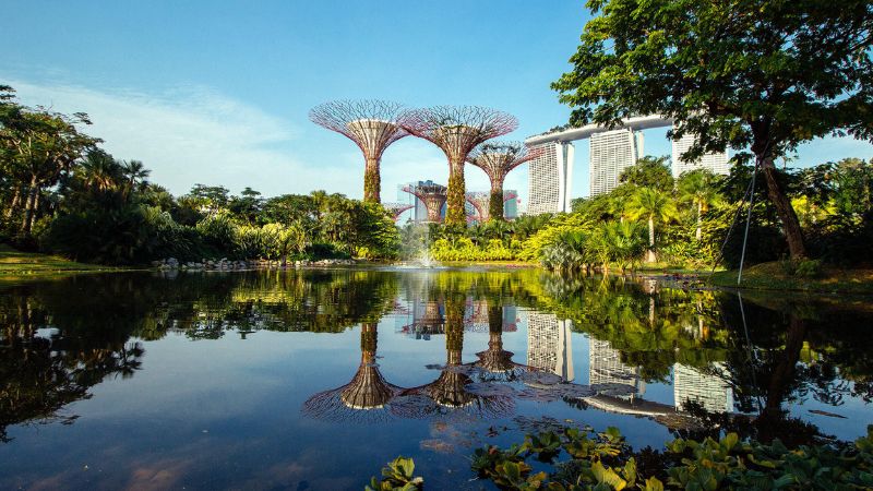 Gardens by the Bay, vườn nhân tạo quy mô khủng tại Singapore 8