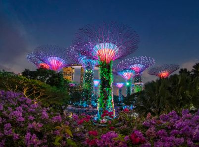 Gardens by the Bay, vườn nhân tạo quy mô khủng tại Singapore