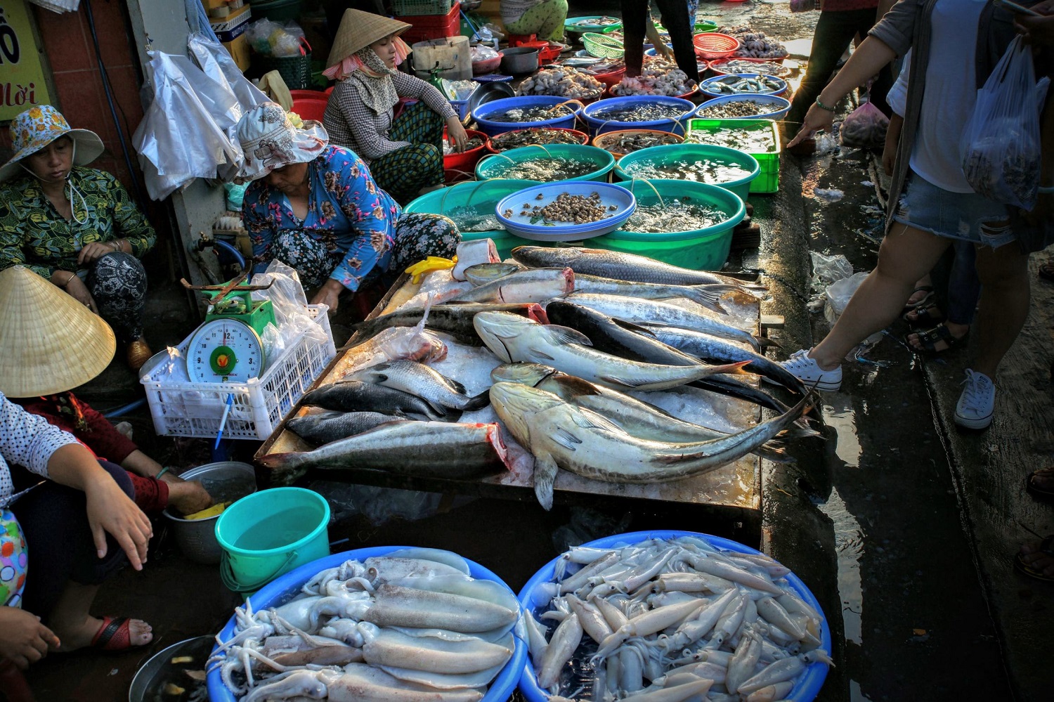 Nếu muốn thưởng thức hải sản tươi ngon nhất, buổi nào trong ngày là lý tưởng để đến chợ hải sản Xóm Lưới?
