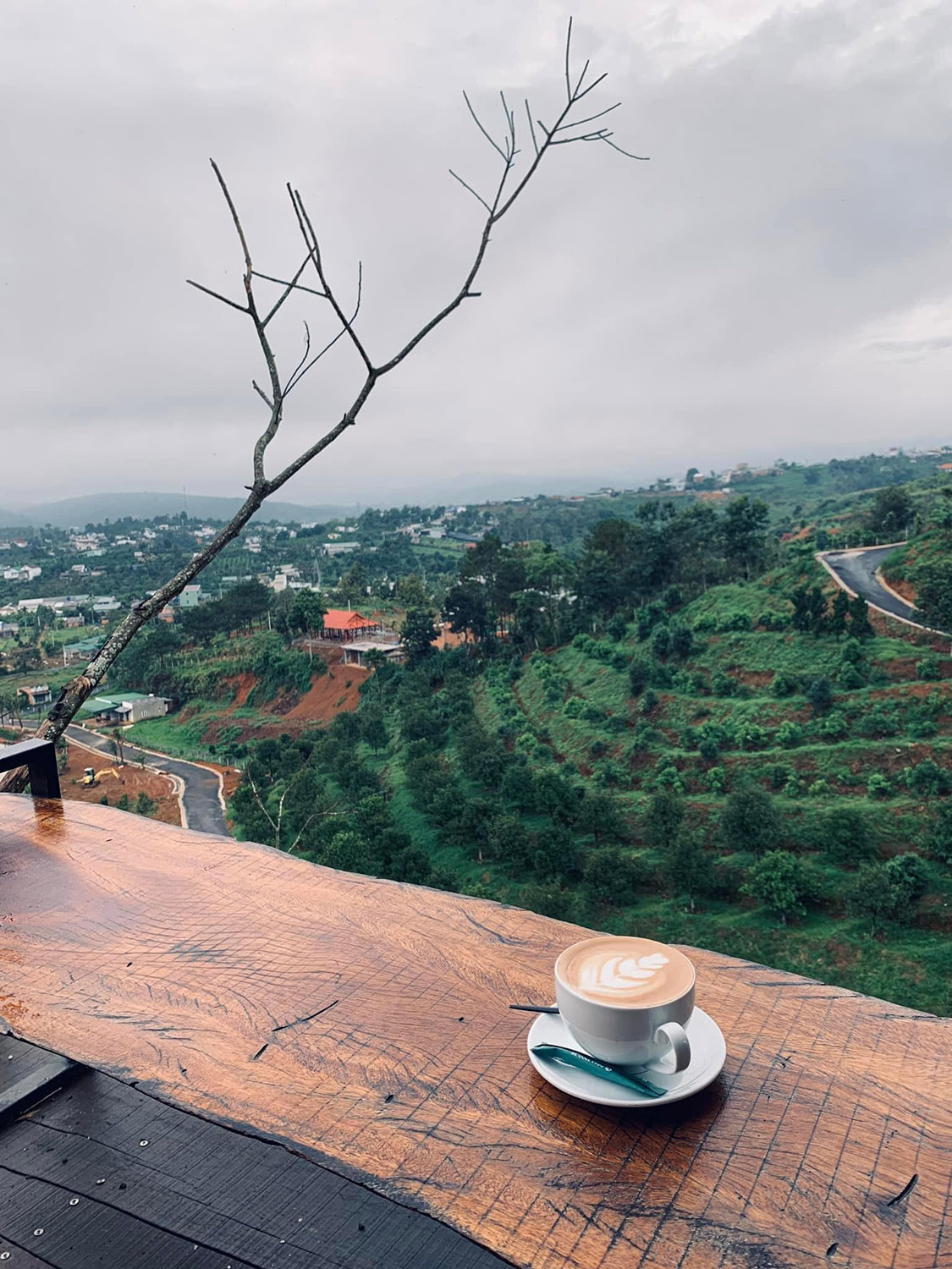 Sunset Chill Coffee ở Bảo Lộc, hoàn toàn giữ được sự hoang sơ và thiên nhiên trong lành của vùng đất này. Hãy thưởng thức một tách cà phê tinh tế ở đây và thả mình vào cảm giác yên tĩnh.