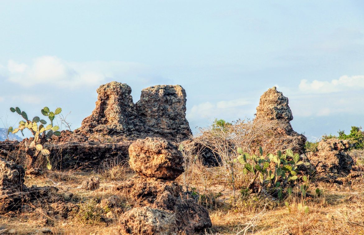 Ghé thăm bãi đá Karang Ninh Thuận, bãi san hô cổ vô giá hàng triệu năm 2