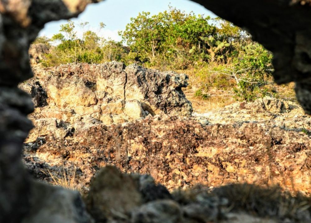 Ghé thăm bãi đá Karang Ninh Thuận, bãi san hô cổ vô giá hàng triệu năm 3