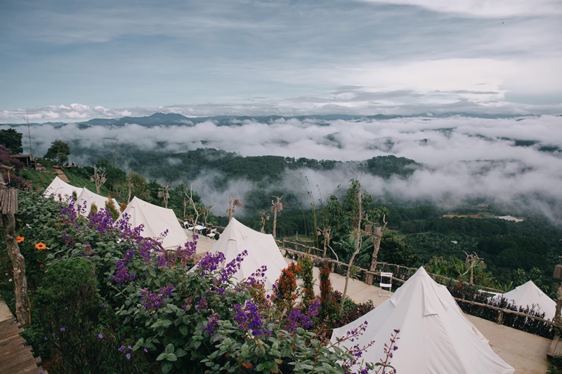 Lưu ngay top 10 địa điểm glamping Đà Lạt cực chill 4