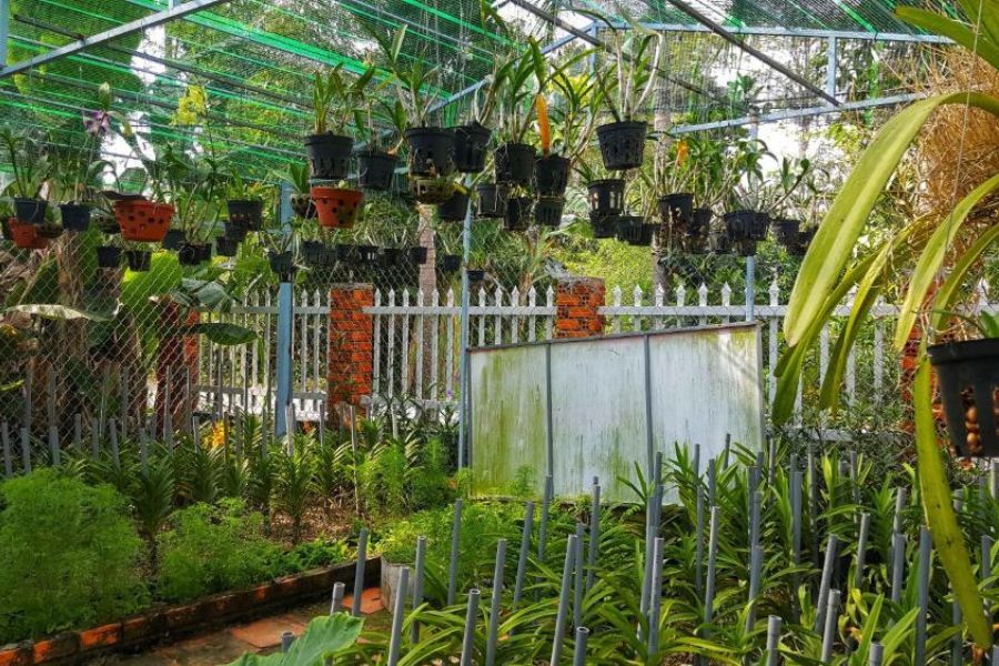 Gợi ý 5 homestay An Giang gần Châu Đốc nhất hiện nay 3
