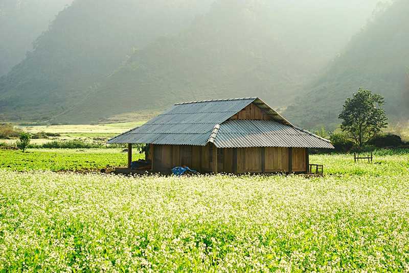 Hành trình khám phá Mộc Châu 3N2Đ với hàng loạt trải nghiệm thú vị 5
