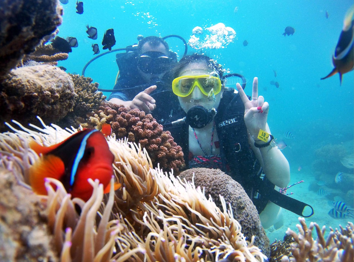 Hành trình lặn ngắm san hô vịnh Vĩnh Hy đầy thú vị mà bạn nên thử 4