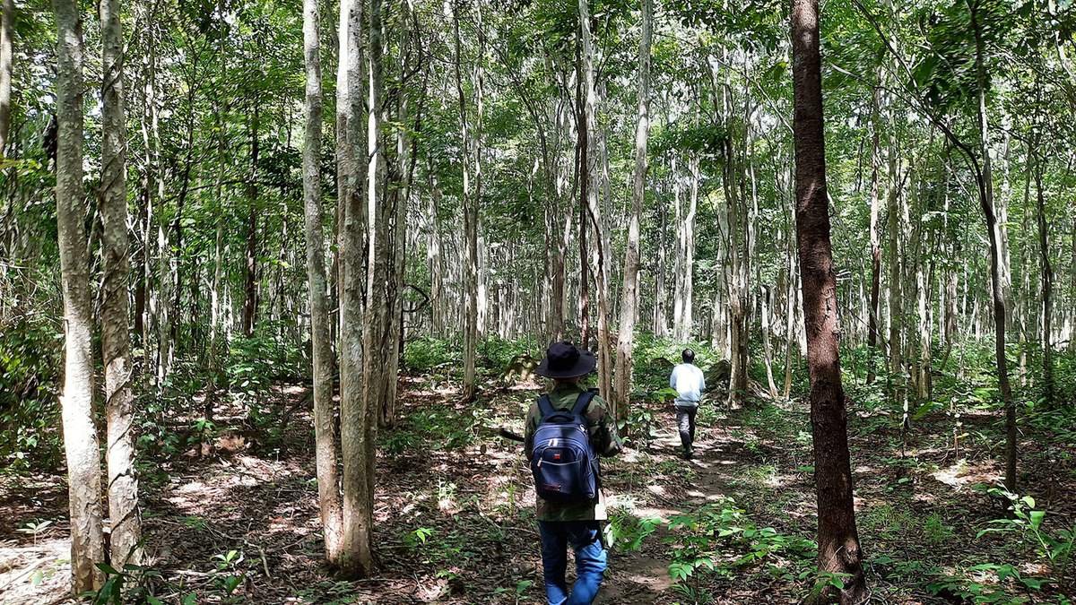 Hành trình trekking VQG Chư Mom Ray tìm về núi rừng đại ngàn 3