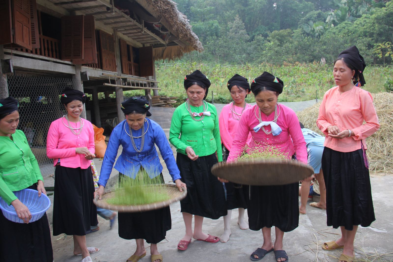 Hội cốm của người Tày - Thể hiện trọn vẹn sự tỉ mỉ và đời sống tinh thần phong phú của người dân tộc vùng Tây Bắc 6