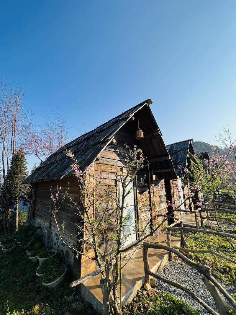 Top 8 homestay Tà Xùa tiện nghi cùng view xịn để bạn lựa chọn 5