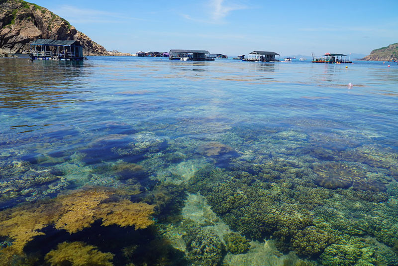 Hòn Khô, đảo nhỏ sở hữu cảnh sắc hùng vĩ cùng rặng san hô muôn màu muôn vẻ 6