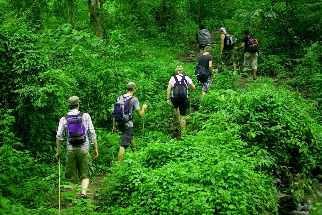Hướng dẫn cách đi khám phá vườn quốc gia Phú Quốc 7