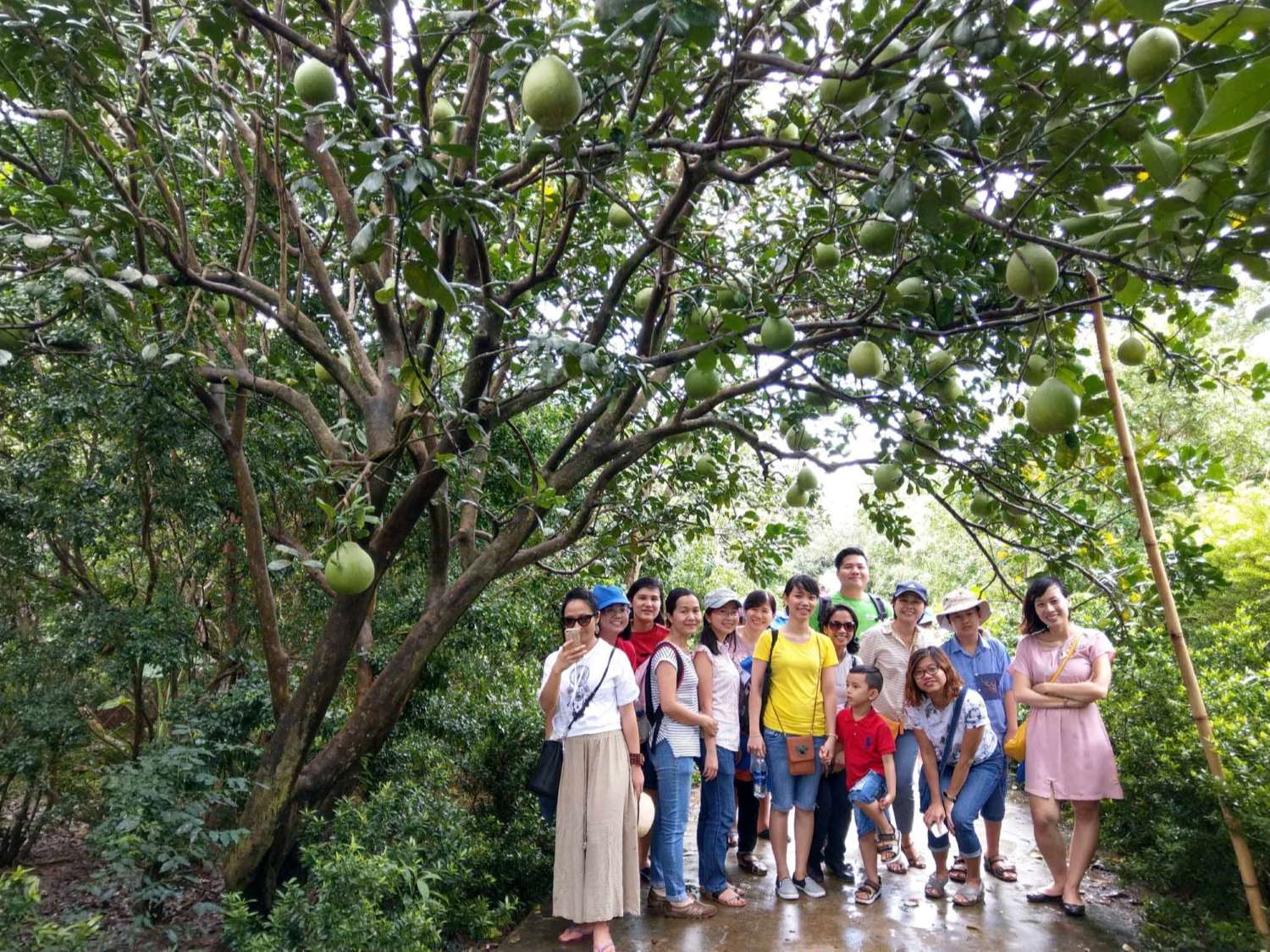 Hướng dẫn đường đi vườn trái cây Vĩnh Kim