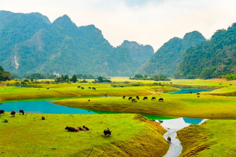 Ghé Hữu Lũng Lạng Sơn khám phá nét đẹp vùng trung du Bắc Bộ 2