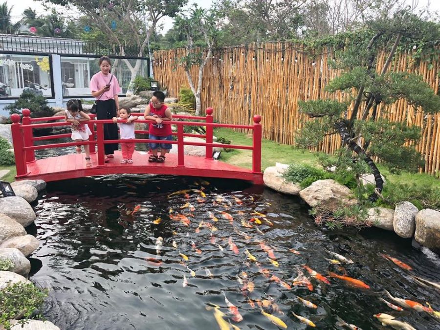 Iokkoi Coffee Zen Garden điểm hẹn lý tưởng dành cho bạn