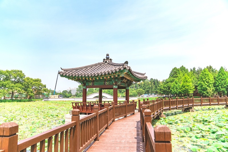 Đến Jeonju tận hưởng nhịp sống chậm tại thủ đô văn hóa Hàn Quốc 10