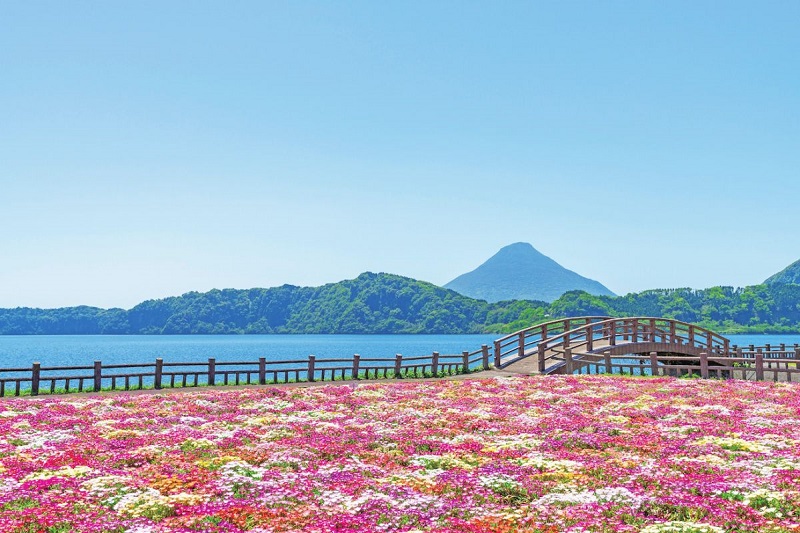 Kagoshima yên bình, nơi kết nối với thiên nhiên mạnh mẽ 3