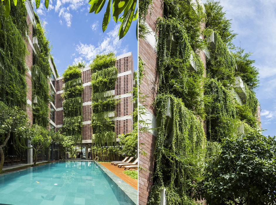 The rows of green vines even the walls at Atlas Hotel Hoi An