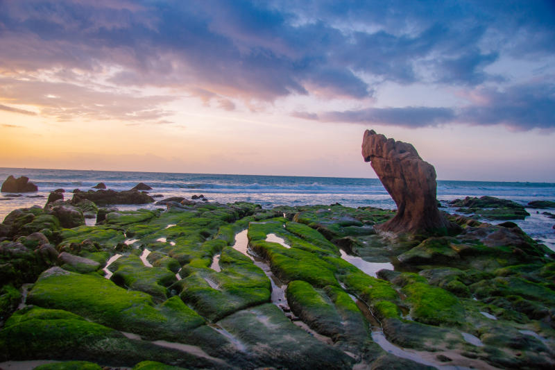 Khám phá biển Cổ Thạch đẹp tựa tiên cảnh tại Bình Thuận 4