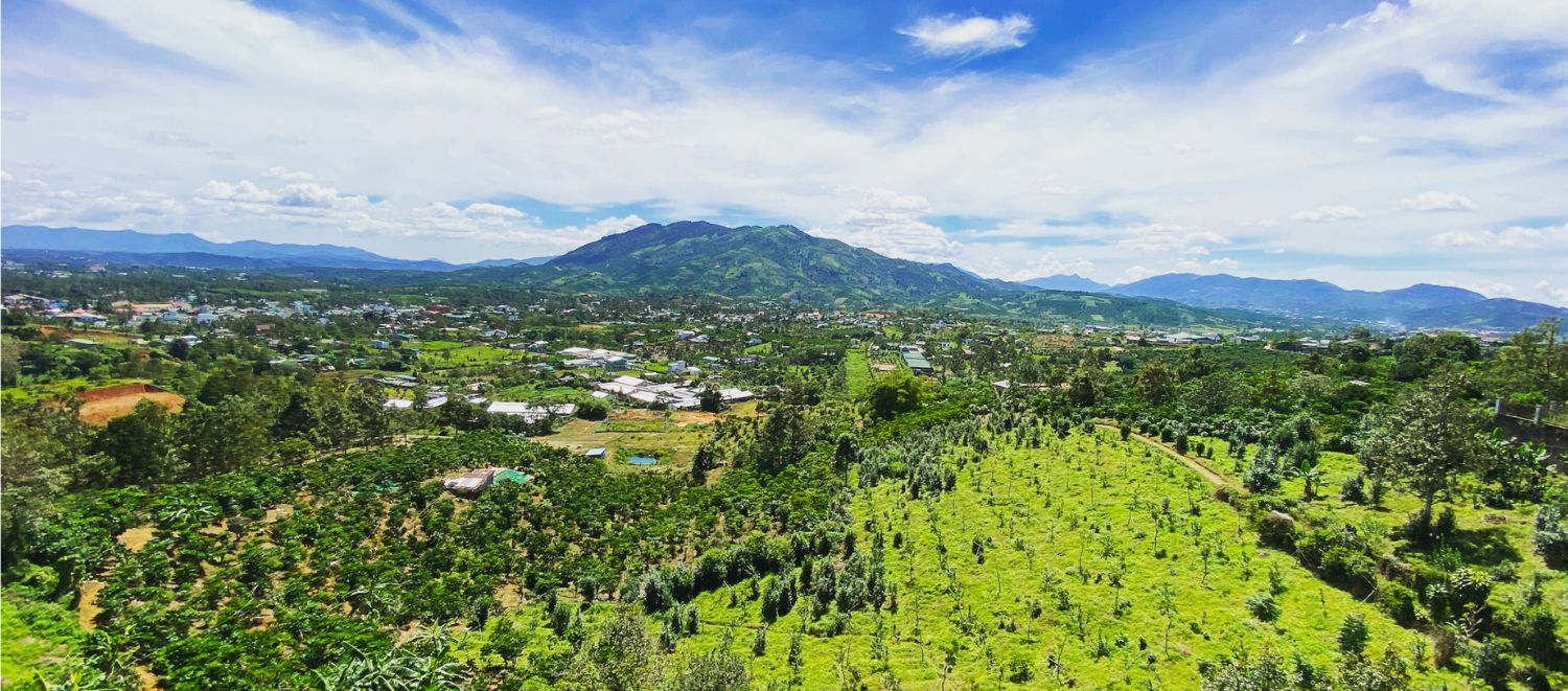 Khám phá Núi Đại Bình Bảo Lộc mang vẻ đẹp thuần tự nhiên đầy thơ mộng
