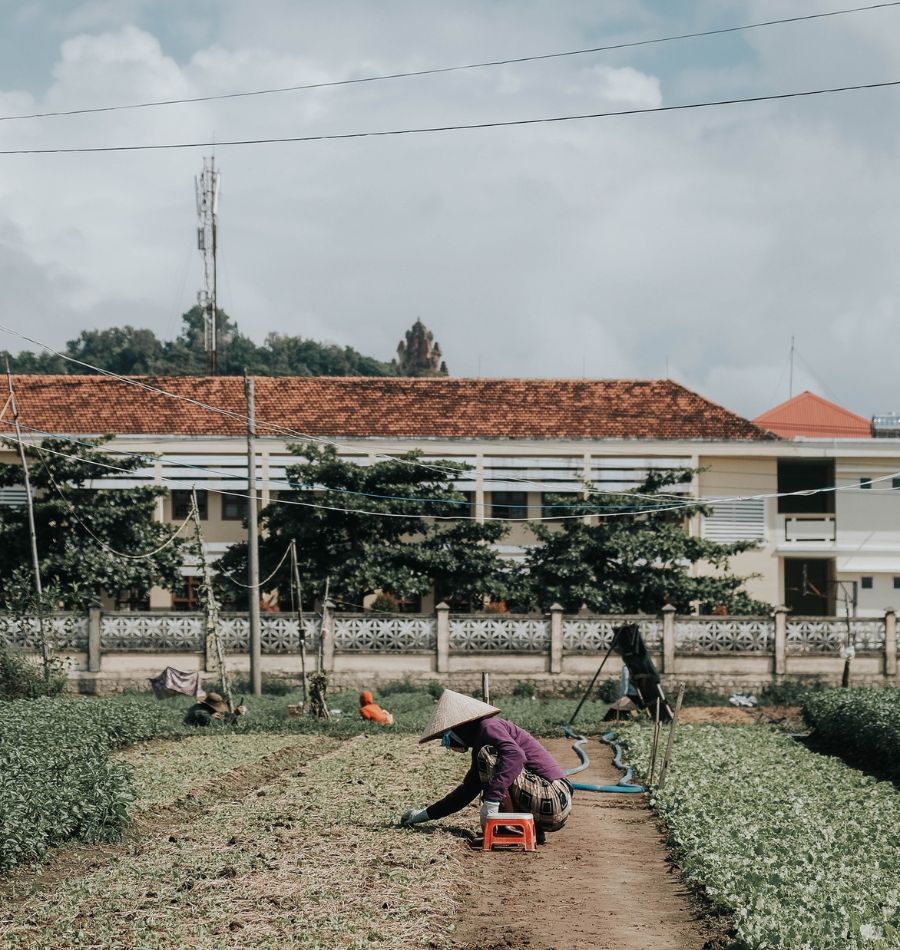 Khám phá Phú Yên đầy nắng và gió qua những thước ảnh bình yên 13