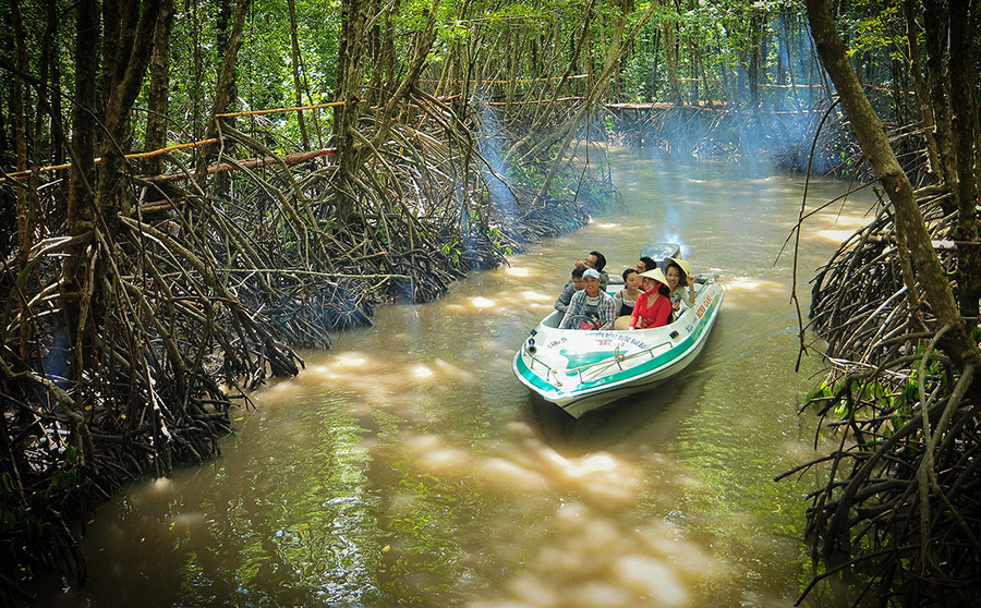 Khám phá rừng ngập mặn Cà Mau với vô vàn trải nghiệm thú vị
