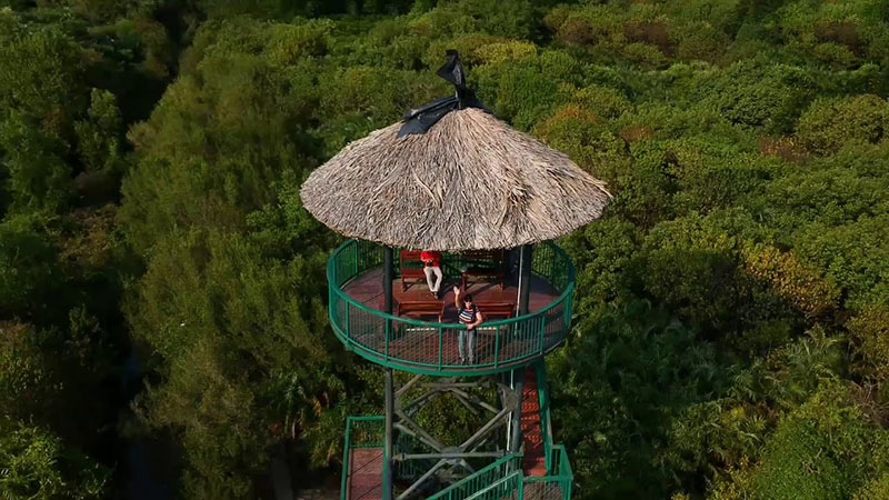 Một ngày tại khu du lịch sinh thái Dần Xây có gì thú vị? 5