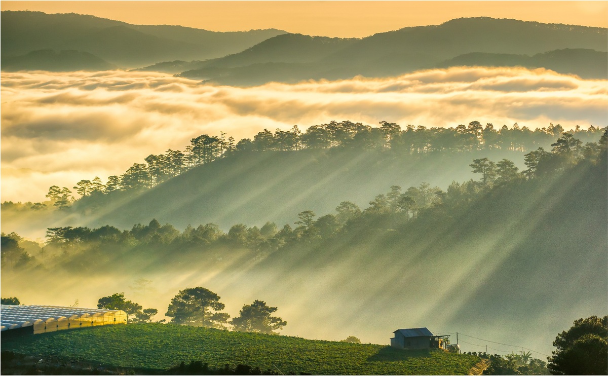 Kinh nghiệm đi Đà Lạt bằng máy bay từ A đến Z cho những ai yếu tim, sợ cung đường đèo 2