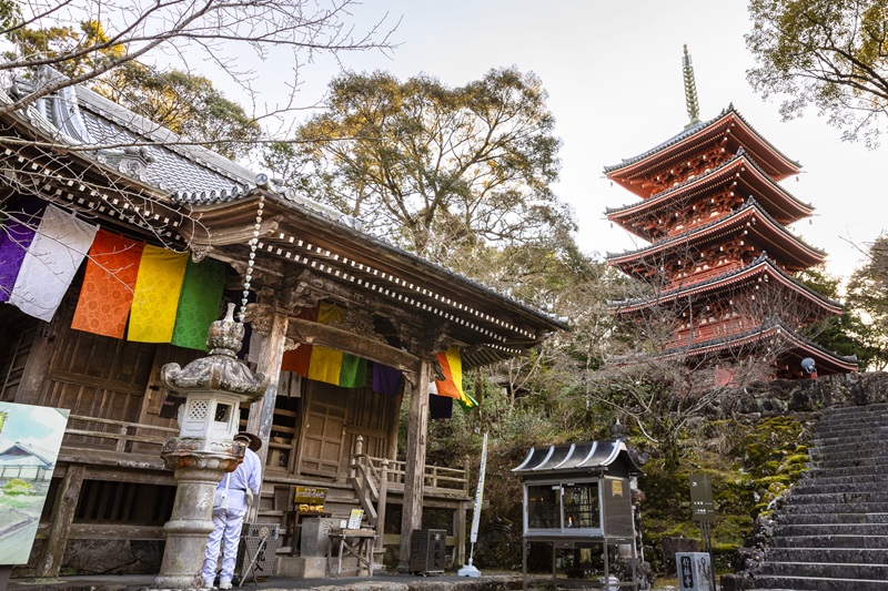 Kochi, nơi tận hưởng thiên nhiên xanh và yên bình tại Nhật Bản 8