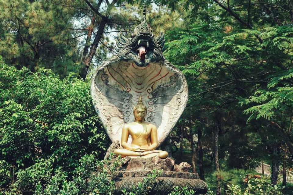 Lạc vào Chùa Thiền Lâm – “Xứ Chùa Vàng” giữa lòng cố đô Huế 10