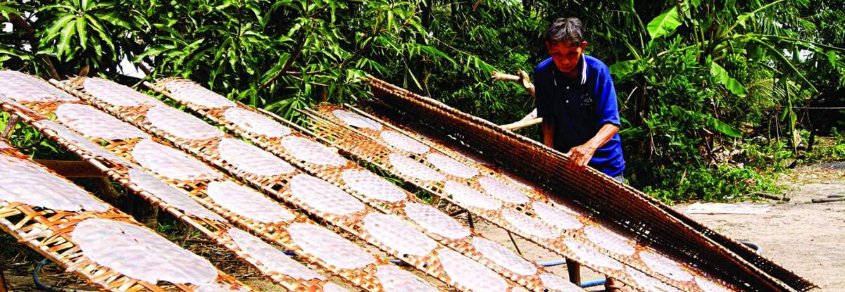 Làng nghề bánh tráng Trảng Bàng, nét đẹp truyền thống của người dân Nam Bộ