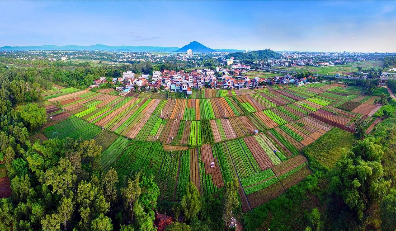 Làng rau Ngọc Lãng – Trải nghiệm đầy thú vị tại vườn rau sạch rộng lớn nhất Phú Yên