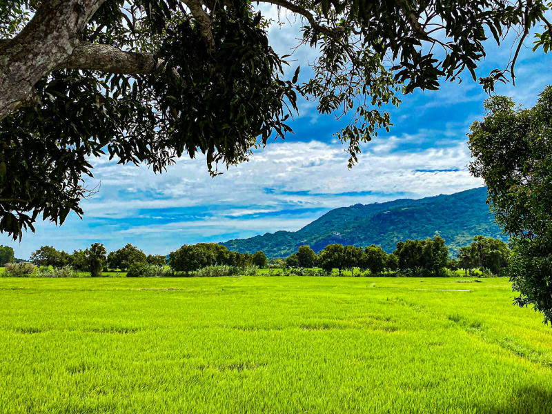 Lang thang An Giang khám phá vẻ đẹp bình dị 3