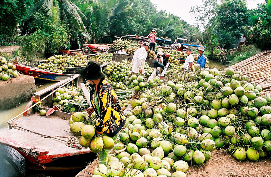 Lễ hội Dừa Bến Tre, sự kiện tôn vinh loài cây đặc trưng của tỉnh 2