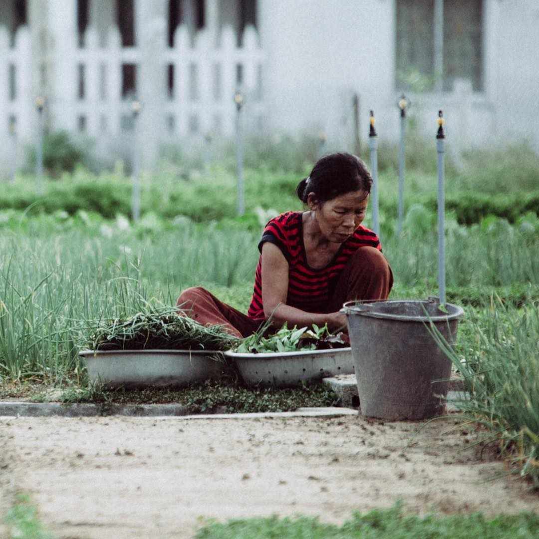 Lịch trình nửa ngày khám phá Hội An với những trải nghiệm mới toanh 15