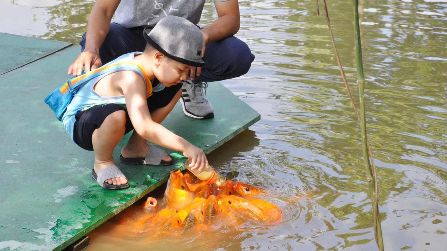 Mách bạn kinh nghiệm đi thác Yang Bay Nha Trang đầy đủ và chi tiết nhất 10